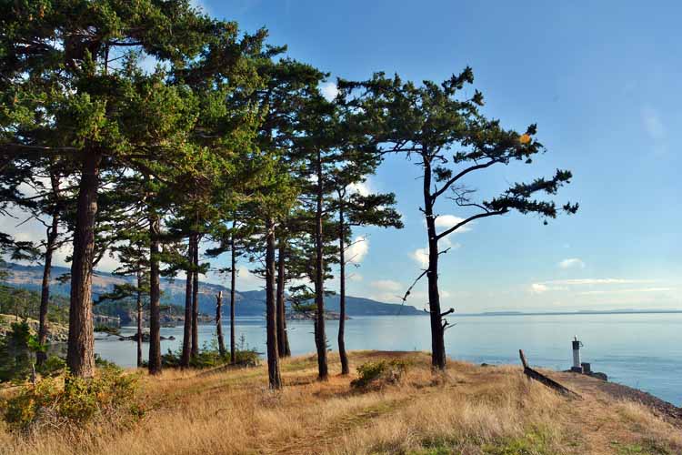 shoreline